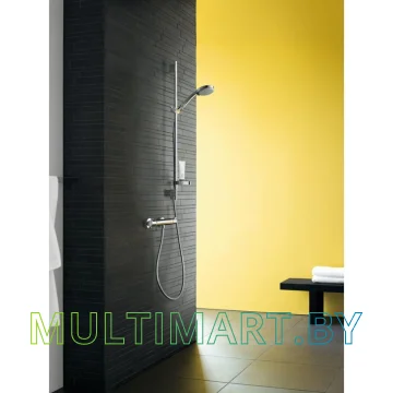 Смеситель Hansgrohe Ecostat 13116000 картинка 3